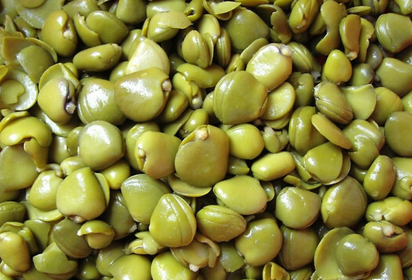 欖錢(qián)烘干工藝